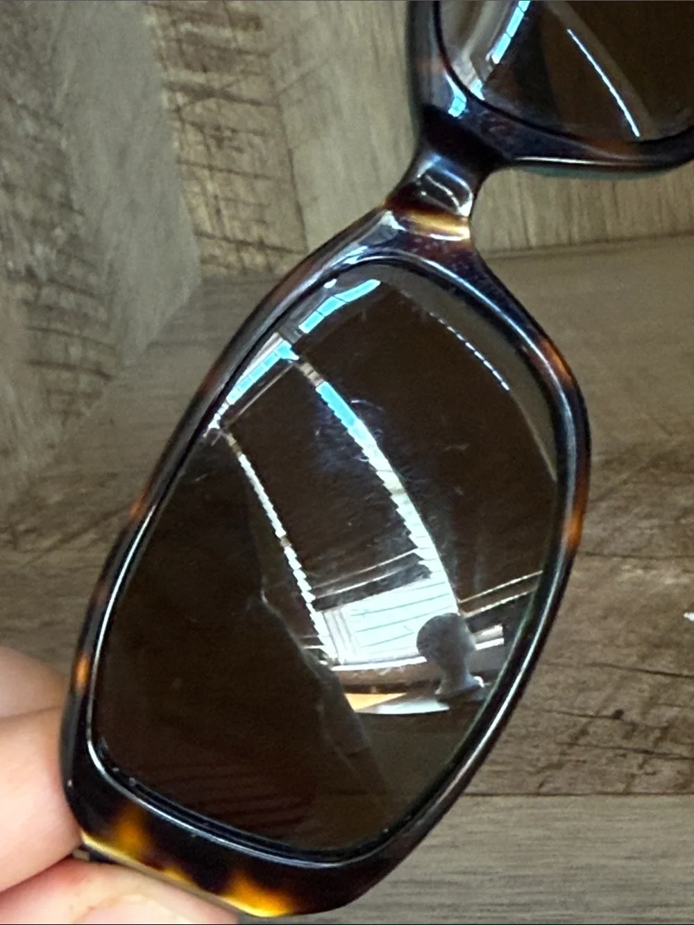 Kate Spade Paxton Sunglasses Teal Tortoise